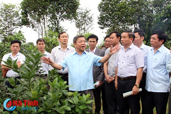 Ngày thứ 7 cho nông thôn mới Hà Tĩnh ảnh 1 Ngày thứ 7 cho nông thôn mới Hà Tĩnh ảnh 1