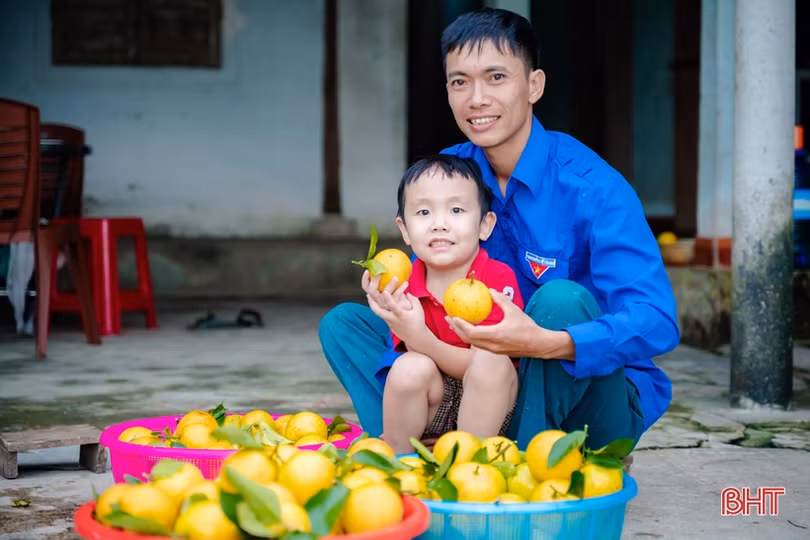 Cam đắt giá, nông dân Vũ Quang phấn khởi “đếm quả, tính tiền”