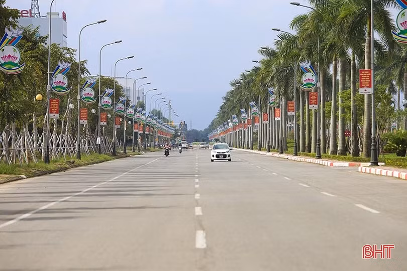 Thêm gần 60.000 cây xanh cho mục tiêu “phố trong rừng - rừng trong phố”