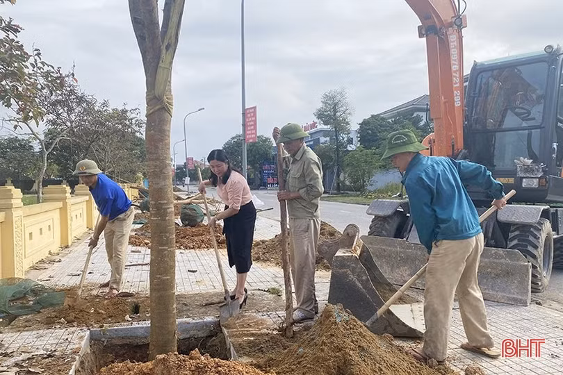 Thêm gần 60.000 cây xanh cho mục tiêu “phố trong rừng - rừng trong phố”