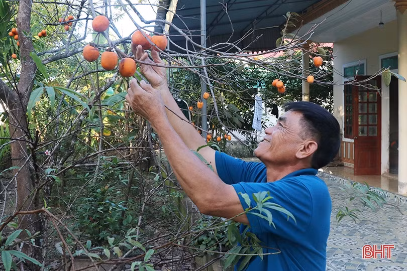 MTTQ huyện Thạch Hà phối hợp tuyên truyền pháp luật tới hàng nghìn người dân
