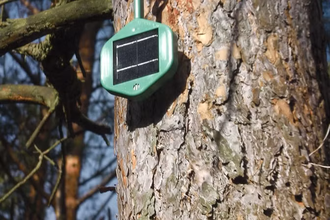 Mũi điện tử giúp cảnh báo cháy rừng siêu sớm