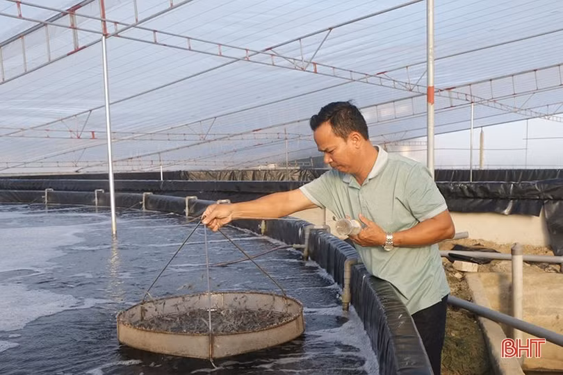 Thêm gần 60.000 cây xanh cho mục tiêu “phố trong rừng - rừng trong phố”