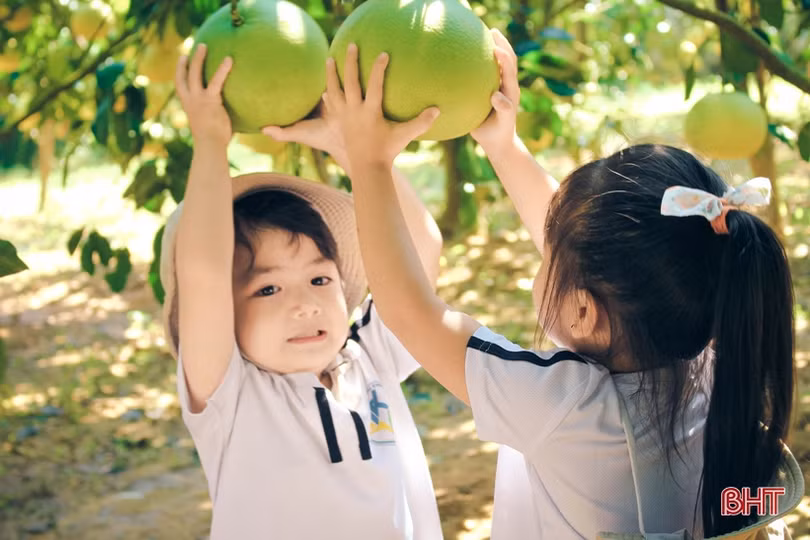 Nữ hiệu trưởng tâm huyết đưa phương pháp giáo dục hiện đại đến với trẻ mầm non Hà Tĩnh