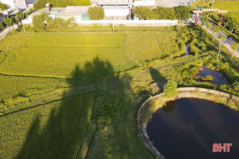 Hà Tĩnh: Doanh nghiệp đầu tư “dự án treo” về nông nghiệp bị phạt 125 triệu đồng