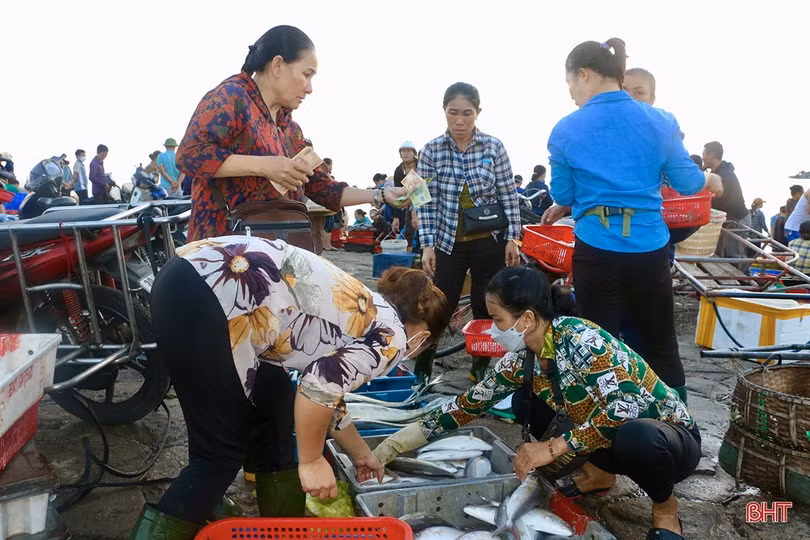 Hải sản dồi dào đáp ứng nhu cầu trong kỳ nghỉ lễ ở Hà Tĩnh