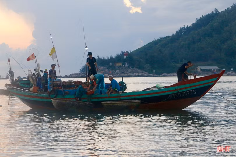 Hải sản dồi dào đáp ứng nhu cầu trong kỳ nghỉ lễ ở Hà Tĩnh