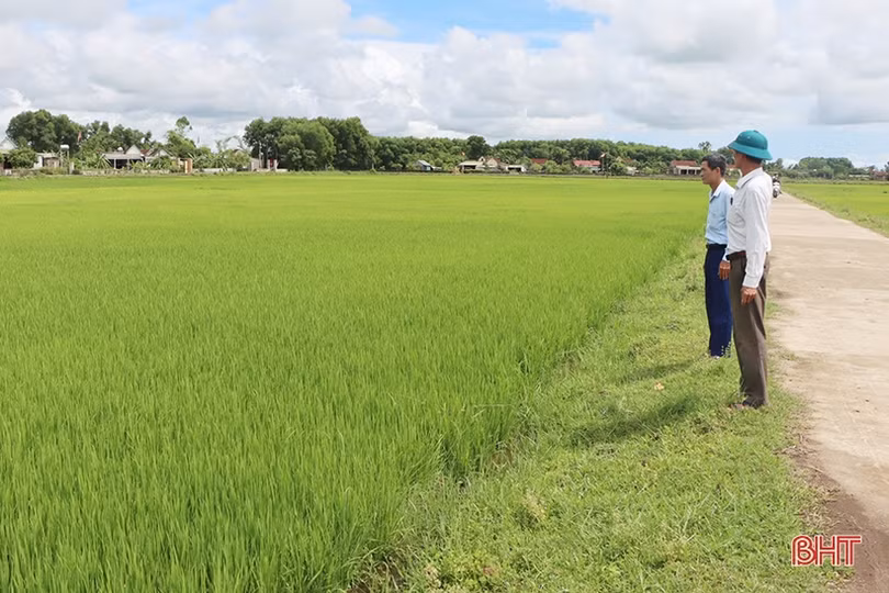 Hà Tĩnh: Đồng thuận cao trong giải phóng mặt bằng dự án cao tốc Bắc - Nam