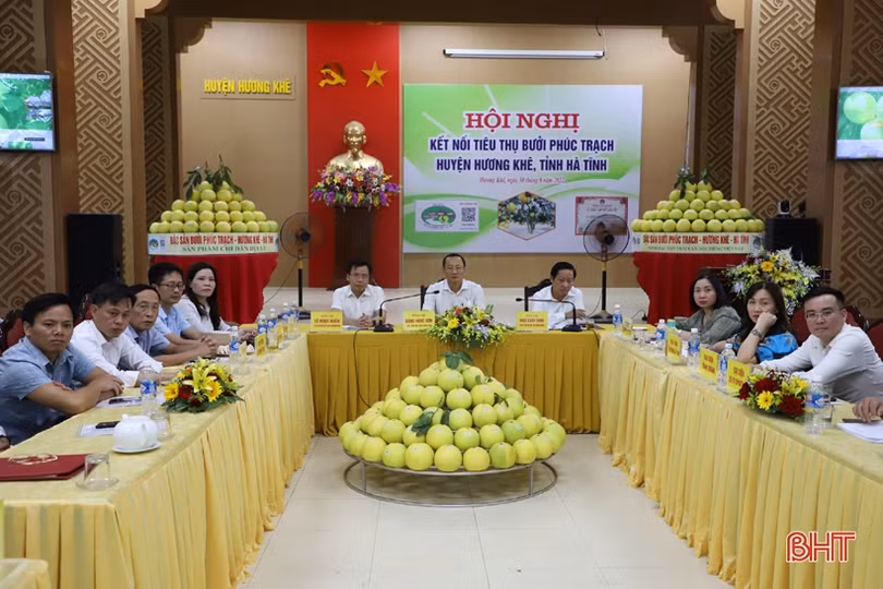 Thúc đẩy tiêu thụ, quảng bá, nâng cao giá trị thương hiệu bưởi Phúc Trạch
