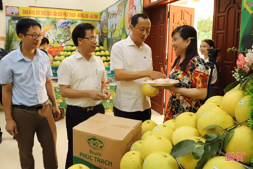 Thúc đẩy tiêu thụ, quảng bá, nâng cao giá trị thương hiệu bưởi Phúc Trạch