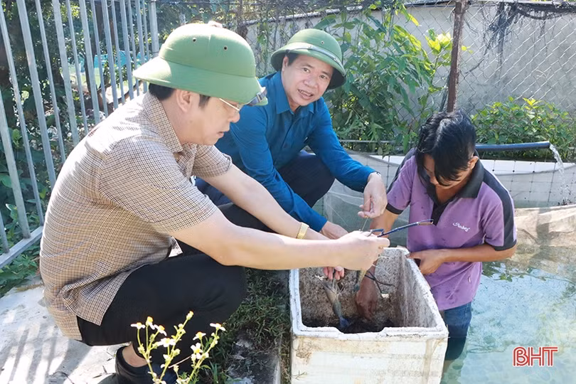 Cẩm Xuyên phấn đấu đến ngày 10/9 sẽ thu hoạch xong lúa hè thu