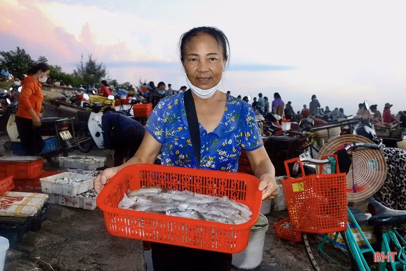 Hải sản dồi dào đáp ứng nhu cầu trong kỳ nghỉ lễ ở Hà Tĩnh