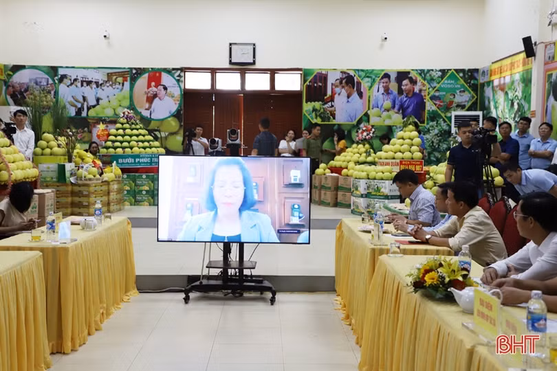 Thúc đẩy tiêu thụ, quảng bá, nâng cao giá trị thương hiệu bưởi Phúc Trạch