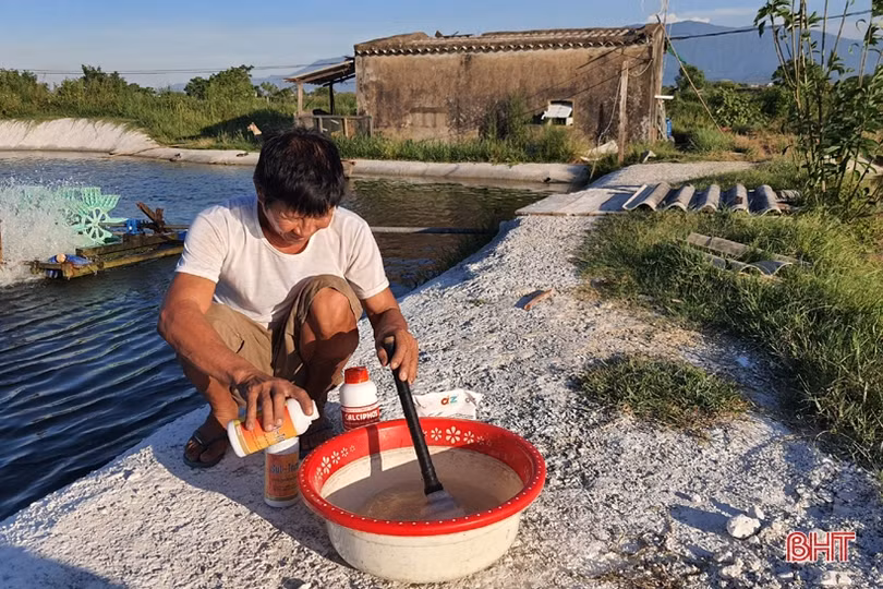 “Lực đẩy” từ chính sách khuyến khích phát triển đối với các hộ nuôi tôm Kỳ Anh
