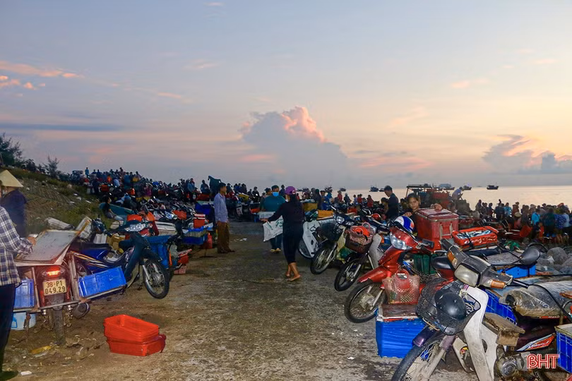 Hải sản dồi dào đáp ứng nhu cầu trong kỳ nghỉ lễ ở Hà Tĩnh