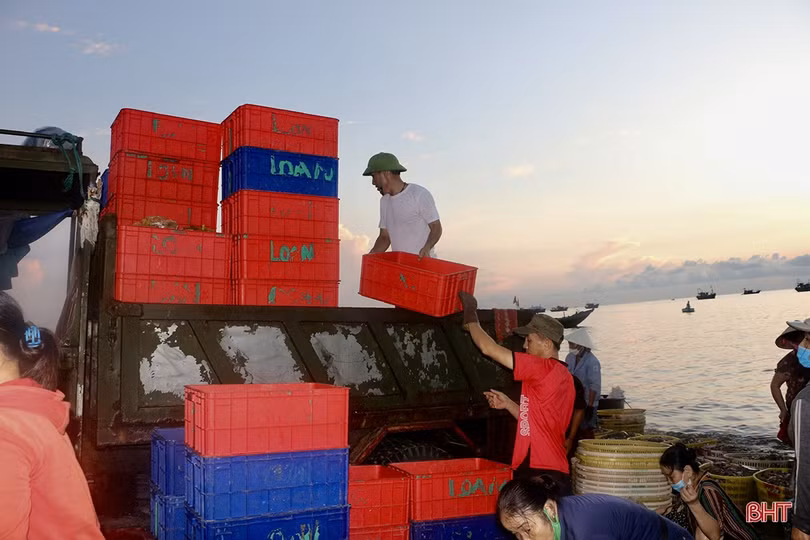 Hải sản dồi dào đáp ứng nhu cầu trong kỳ nghỉ lễ ở Hà Tĩnh