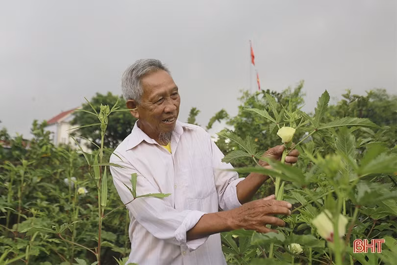 Người bệnh binh giàu nghị lực, tiên phong hiến đất mở đường