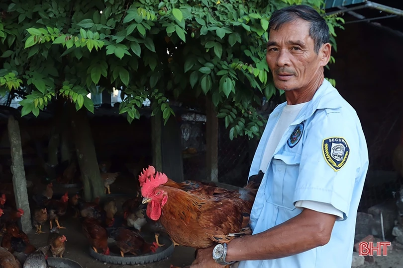 Người dân Vũ Quang chủ động tăng đàn, “vỗ béo” vật nuôi phục vụ thị trường cuối năm