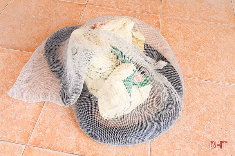 Bàn giao cá thể rắn hổ mang chúa cho Vườn Quốc gia Vũ Quang