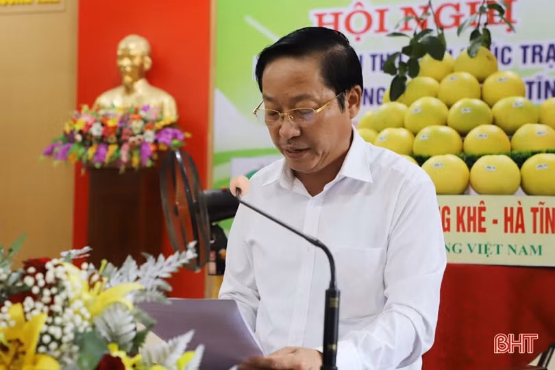 Thúc đẩy tiêu thụ, quảng bá, nâng cao giá trị thương hiệu bưởi Phúc Trạch