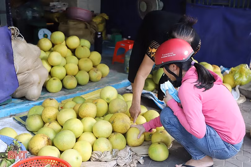 Đặc sản bưởi Phúc Trạch vào mùa