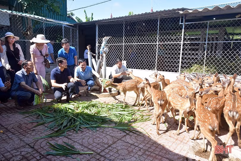 Chuyển giao khoa học và công nghệ giúp người dân Lào phát triển kinh tế