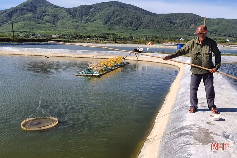 “Lực đẩy” từ chính sách khuyến khích phát triển đối với các hộ nuôi tôm Kỳ Anh