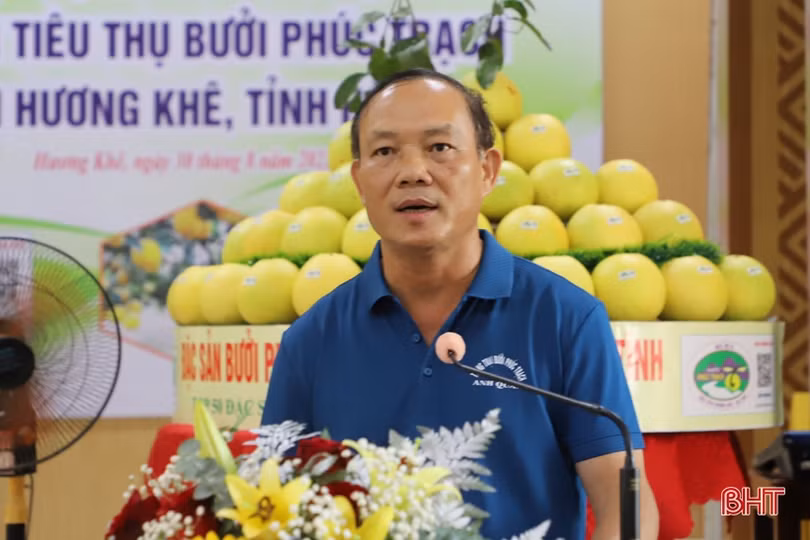 Thúc đẩy tiêu thụ, quảng bá, nâng cao giá trị thương hiệu bưởi Phúc Trạch