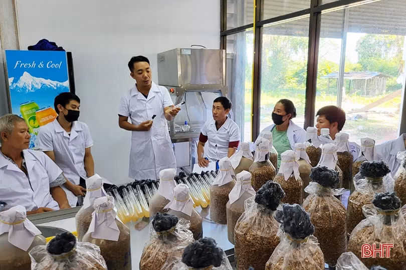 Chuyển giao khoa học và công nghệ giúp người dân Lào phát triển kinh tế