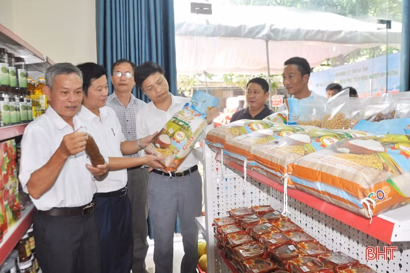 Khai trương cửa hàng gạo hữu cơ trên ruộng rươi, cáy Đức Thọ tại TP Hà Tĩnh