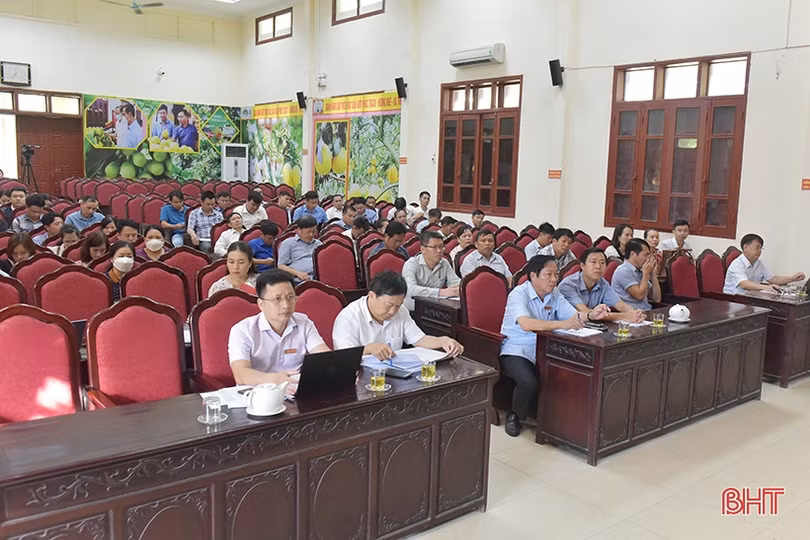 Ứng phó linh hoạt với thời tiết cực đoan để giành vụ đông thắng lợi ở Hương Khê