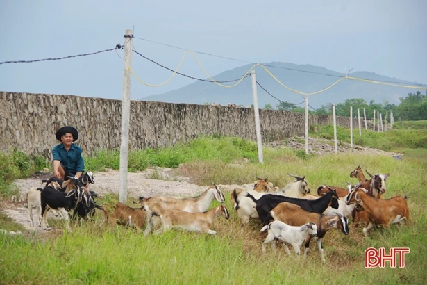 Cán bộ bán chuyên trách quân sự xã hăng say chuyên môn, giỏi làm kinh tế 