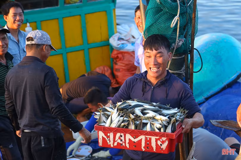 Hải sản dồi dào đáp ứng nhu cầu trong kỳ nghỉ lễ ở Hà Tĩnh