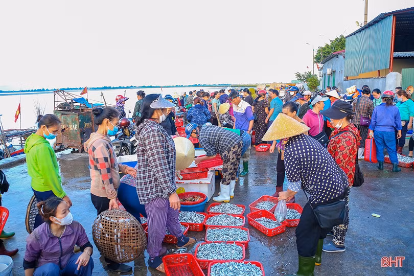 Hải sản dồi dào đáp ứng nhu cầu trong kỳ nghỉ lễ ở Hà Tĩnh