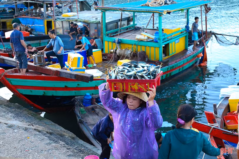 Hải sản dồi dào đáp ứng nhu cầu trong kỳ nghỉ lễ ở Hà Tĩnh