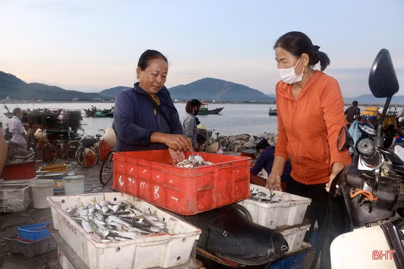 Hải sản dồi dào đáp ứng nhu cầu trong kỳ nghỉ lễ ở Hà Tĩnh