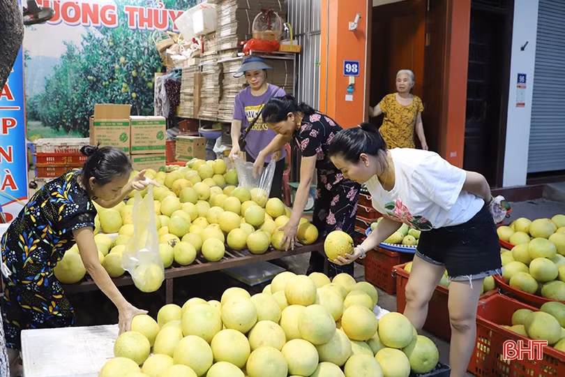 Đặc sản bưởi Phúc Trạch vào mùa