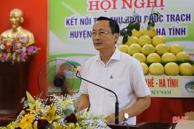 Thúc đẩy tiêu thụ, quảng bá, nâng cao giá trị thương hiệu bưởi Phúc Trạch