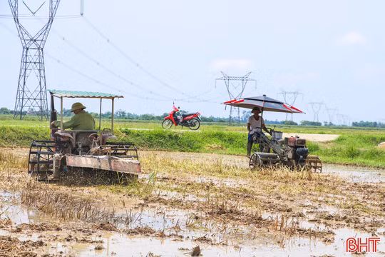 Nông dân Hà Tĩnh tất bật làm đất sản xuất vụ hè thu 