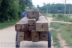 Xe lôi vận chuyển lượng gỗ lớn trên đường liên xã ở huyện Hương Khê