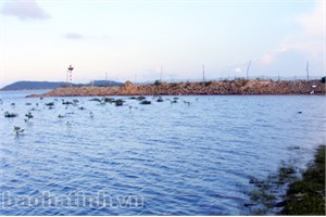 Khu vực hồ nuôi tôm bỏ hoang - nơi 2 em nhỏ chết đuối