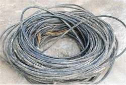 Ảnh minh họa từ internet