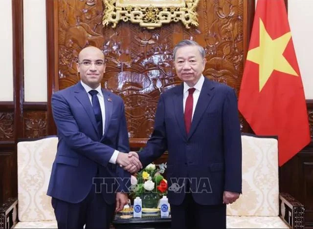 Tổng Bí thư, Chủ tịch nước Tô Lâm tiếp Đại sứ Algeria tại Việt Nam Sofiane Chaib đến trình Quốc thư. Ảnh: TTXVN.