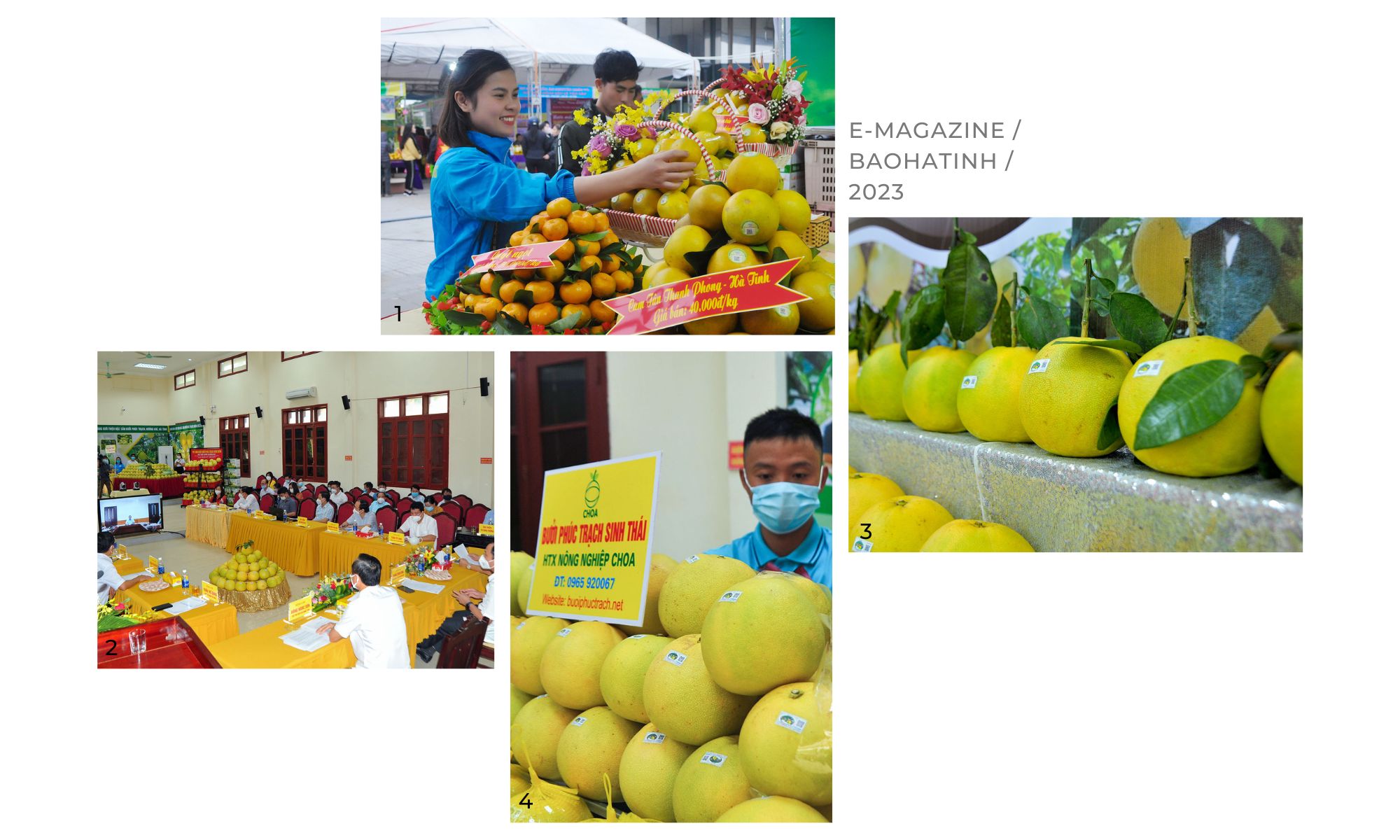 Mở đường cho đặc sản Hương Khê vươn xa (bài 1): Vang danh miền bưởi ngon, cam ngọt...