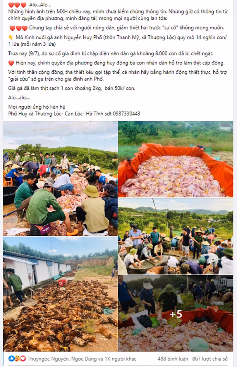 Chuyện “giải cứu” 10.000 con gà chết ngạt và tình người trong cơn hoạn nạn