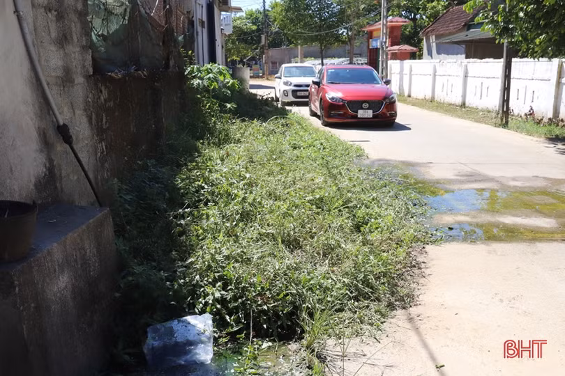 Người dân Hương Khê khốn khổ vì mương thoát thải bị tắc