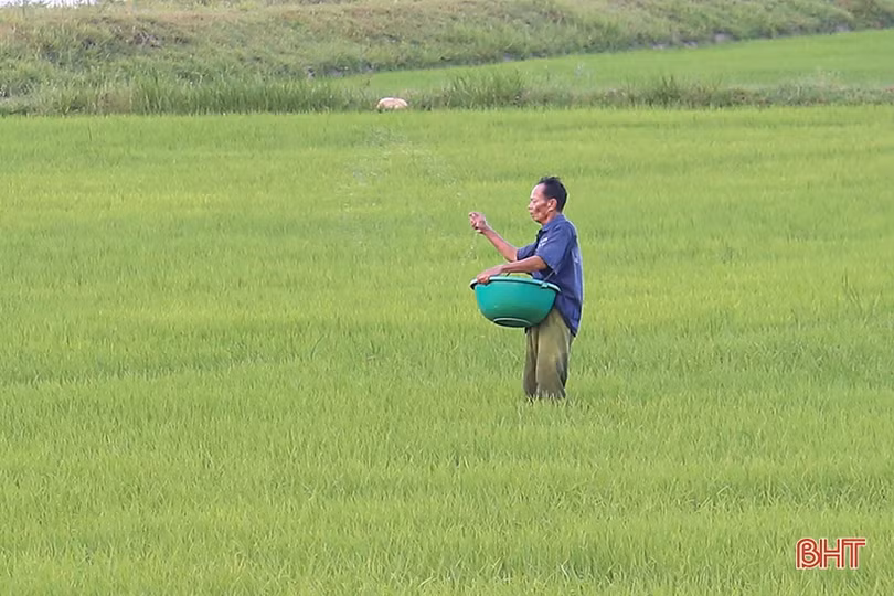 Nông dân Hà Tĩnh xoay xở chống hạn cho lúa hè thu