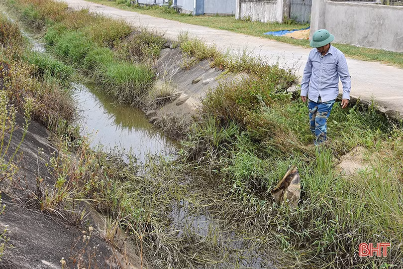 Nông dân Hà Tĩnh xoay xở chống hạn cho lúa hè thu