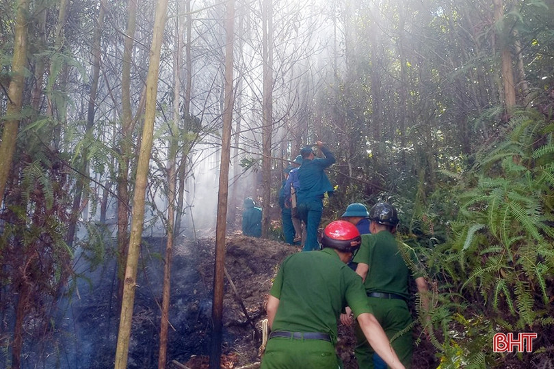 Huy động hơn 250 người kịp thời khống chế cháy rừng ở Hương Khê