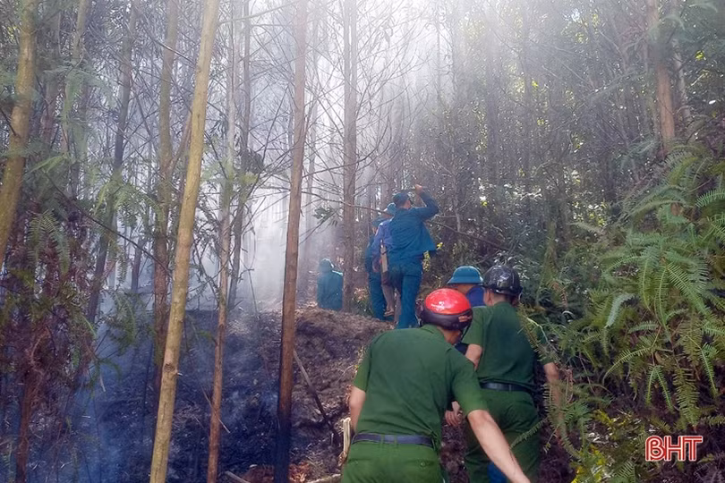 Huy động hơn 250 người kịp thời khống chế cháy rừng ở Hương Khê